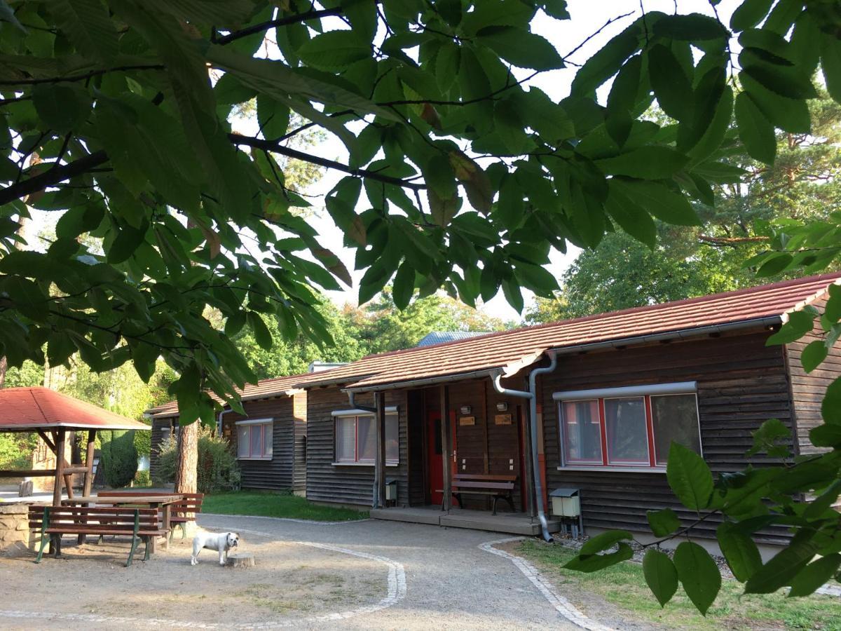 ZirkelsteinResort gGmbH Schöna Exterior foto