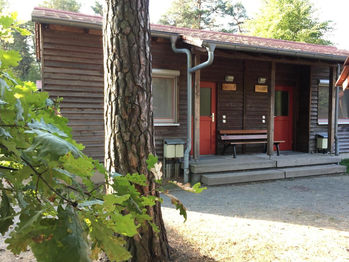 ZirkelsteinResort gGmbH Schöna Exterior foto